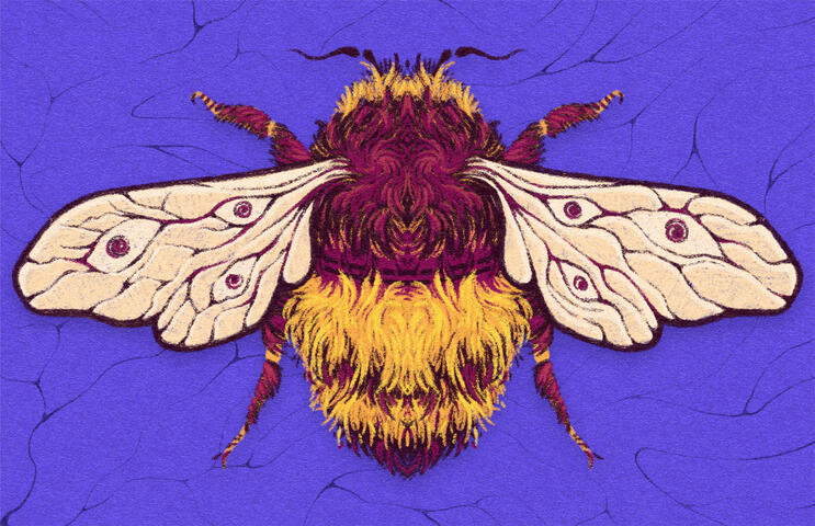 Bee
